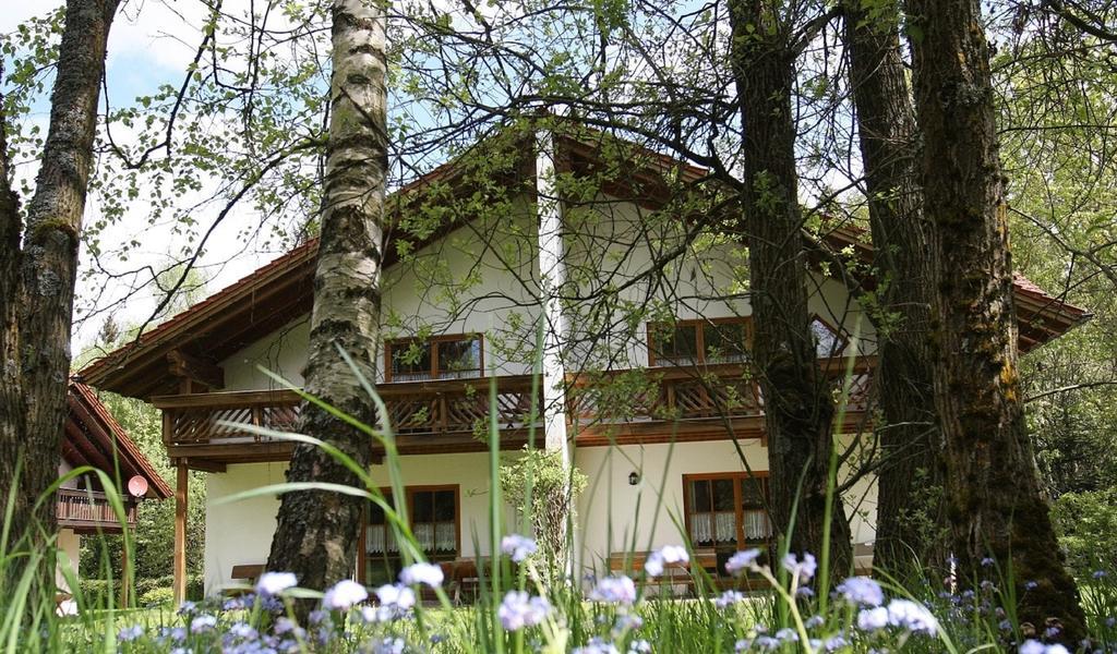 Ferienhaeuser "In Der Waldperle" Bischofsmais Eksteriør billede